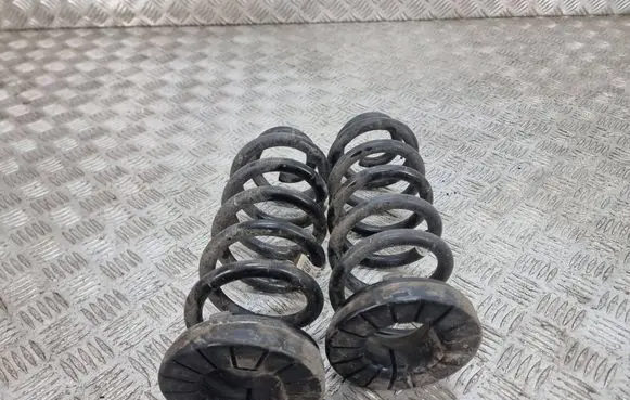 Rear coil spring
