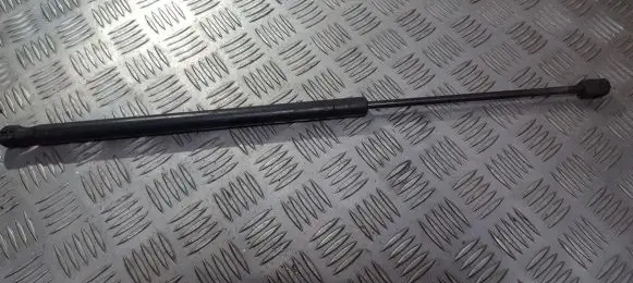 Tailgate/trunk strut/damper