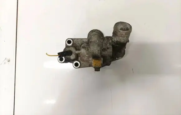 Mitsubishi Carisma Engine coolant pipe/hose 500328