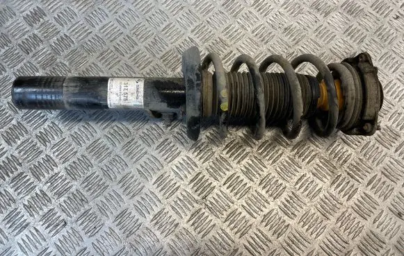 Volkswagen PASSAT B7 Front shock absorber/damper 824904013020 0120059 317575