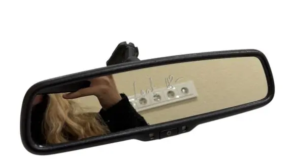 Nissan Leaf II (ZE1) Rear view mirror (interior) 9055296 E11026001