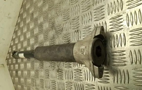 Rear shock absorber/damper