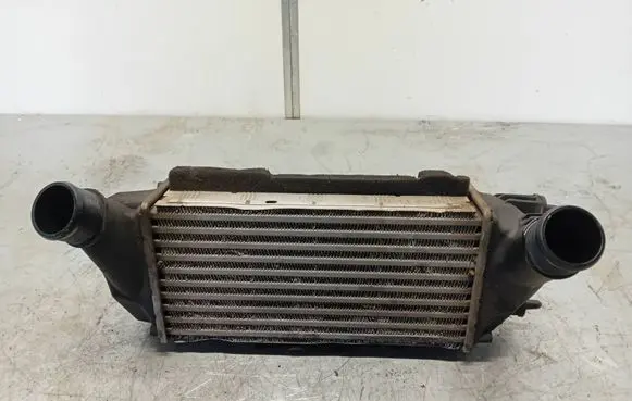 Ford Fiesta Intercooler radiator