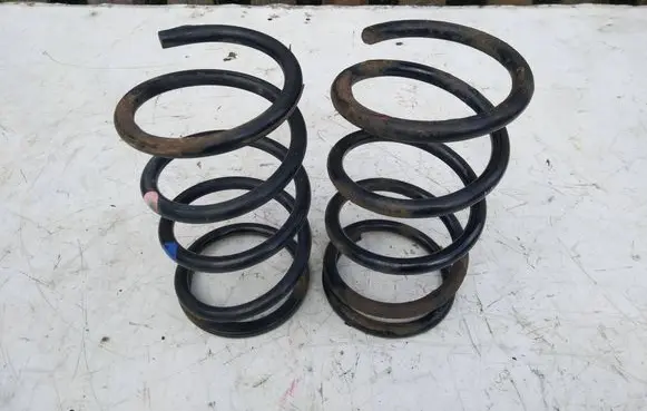 Rear coil spring