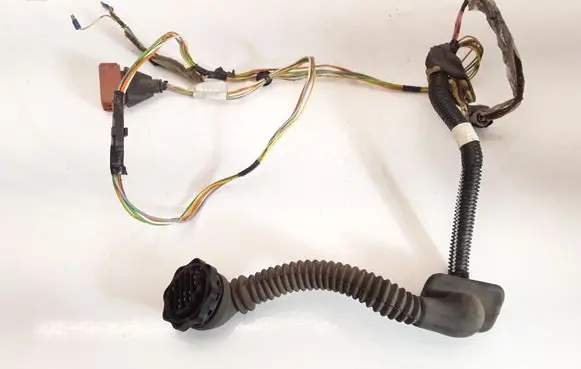 Front door wiring loom