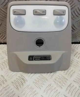 Renault Zoe Headlining lighting console trim 