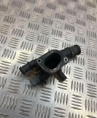 Thermostat/thermostat housing