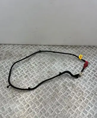 Jeep Compass Other wiring loom 52156247 2116247002