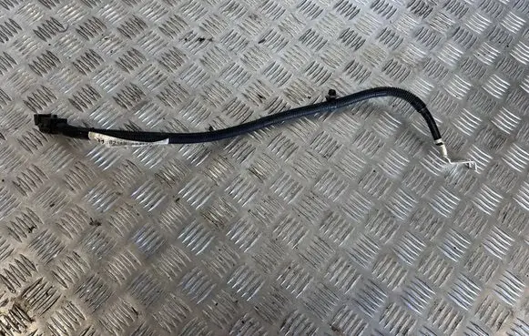 Toyota Mirai Negative earth cable (battery) 8211262010