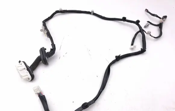 Lexus IS III XE30 Rear door wiring loom 8215453152
