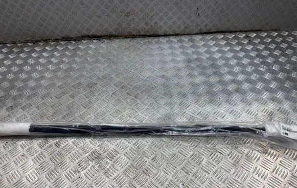 KIA Sportage Front door glass trim molding 82220D9000