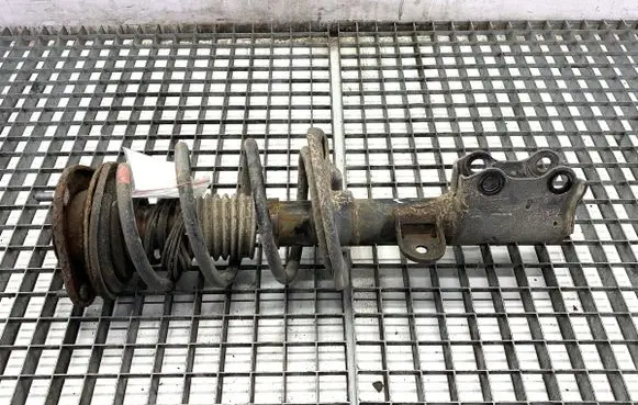 Lexus CT 200H Front shock absorber/damper 4852076050