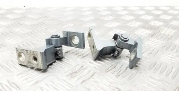 Volkswagen Tiguan Front door hinge set 5N0831402