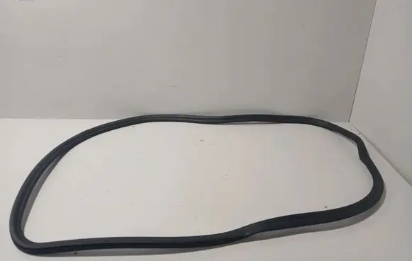 BMW 5 G30 G31 G38 Front door rubber seal 7337000 7468731