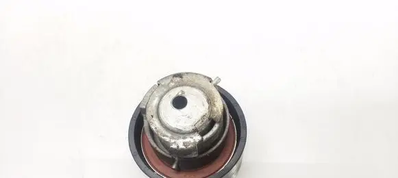 Citroen C6 Timing belt tensioner 6007RR9D