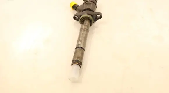 Citroen C4 I Picasso Fuel injector 0445110259