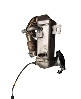 Renault Trafic III (X82) EGR valve cooler 147350678r