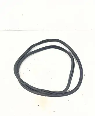 Peugeot 308 Front door rubber seal 9677519680
