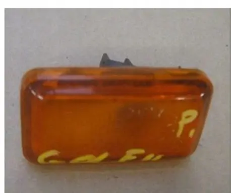 Volkswagen Golf II Front fender indicator light