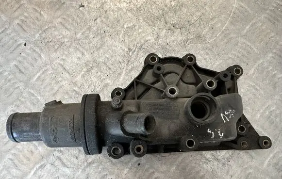 Thermostat/thermostat housing