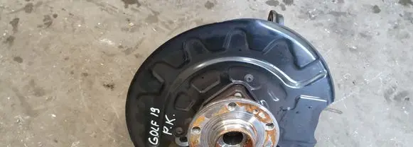 Volkswagen Golf Sportsvan Front wheel bearing hub 