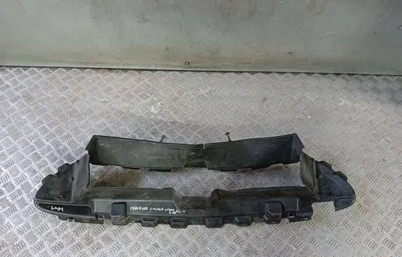 Mercedes-Benz C W205 Radiator trim A2065051700 R8374037