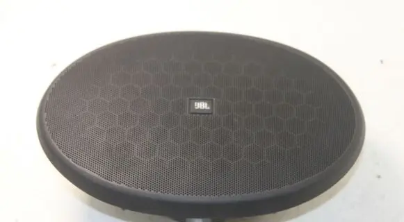Citroen C6 Front door speaker
