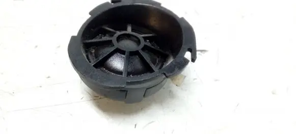 Front door high frequency speaker