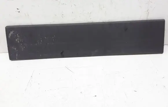 Rear door trim (molding)