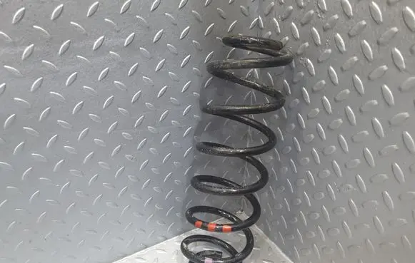 Citroen DS4 Rear coil spring 5102Z4