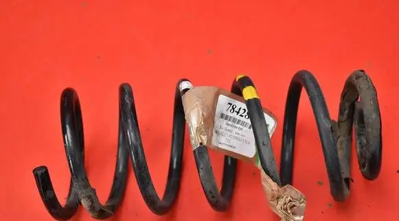 Rear coil spring