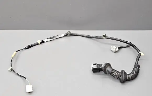 Rear door wiring loom