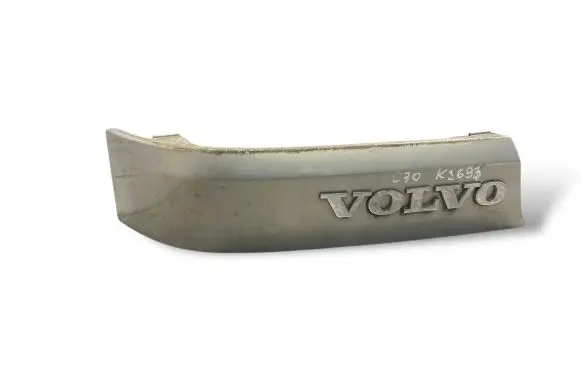 Rear/tail light trim molding