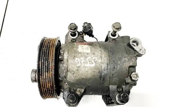 Nissan Pathfinder R51 Air conditioning (A/C) compressor (pump) 92600EB300 506012-1120