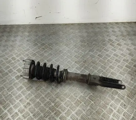 Porsche Panamera (970) Front shock absorber/damper 970343031
