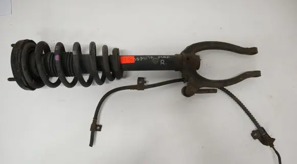 Hyundai Sonata Front shock absorber/damper 11012904