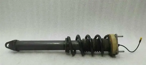Porsche 911 991 Rear shock absorber with coil spring 99133305304