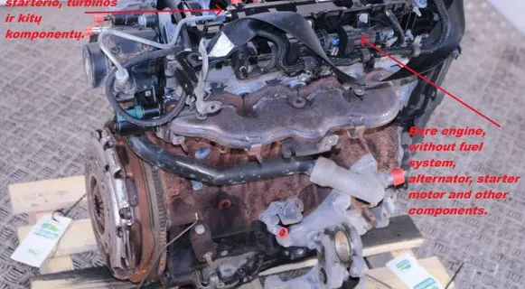 Fiat Scudo Engine AHZ
