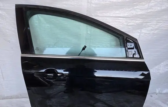 Ford Focus Front door 