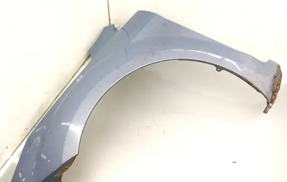 Ford Focus Fender