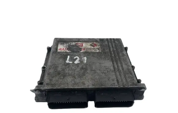Volkswagen PASSAT B6 LP gas control unit module E3031001 110R001001 67R011002