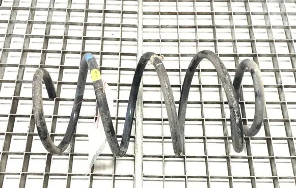Front coil spring