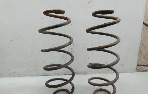 Rear coil spring