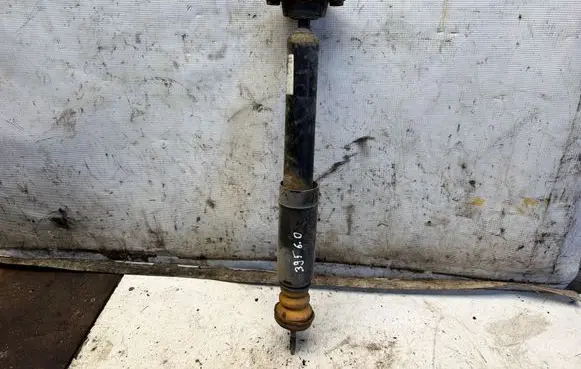 BMW X1 E84 Rear shock absorber/damper 313933
