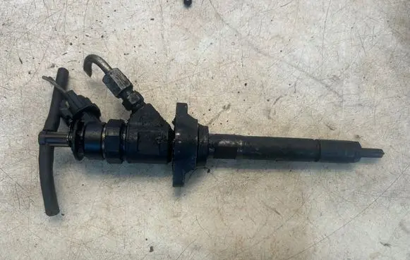 Citroen C3 Picasso Fuel injector 0445110311 620033