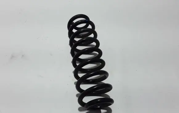 Dacia Spring Rear coil spring 550200356R