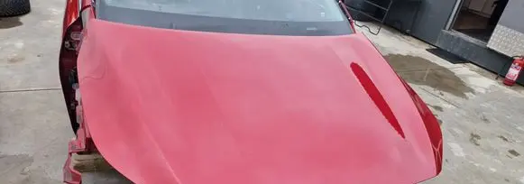 Engine bonnet/hood