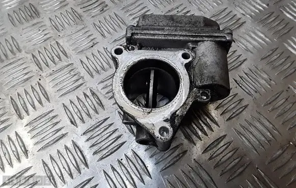 Renault Scenic RX Throttle valve 8200736114