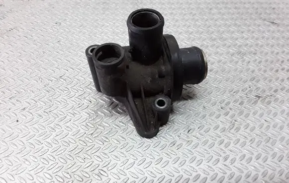 Thermostat/thermostat housing
