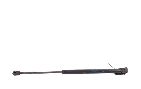 Tailgate strut